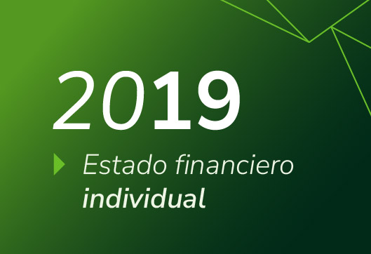 Estados Financieros Propuestas Invidividual 2019