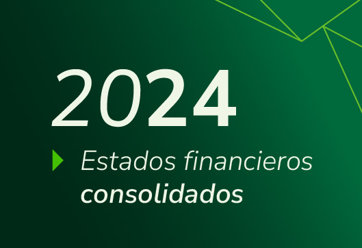 Estados Financieros Propuestas Consolidado 2024