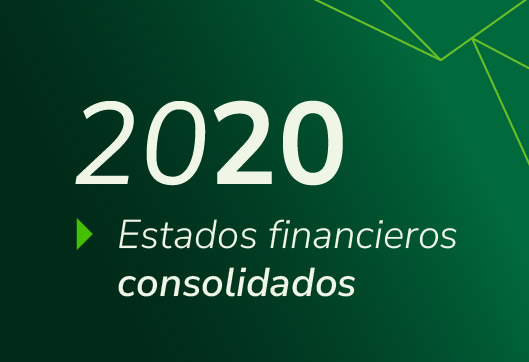 Estados Financieros Propuestas Consolidado 2020