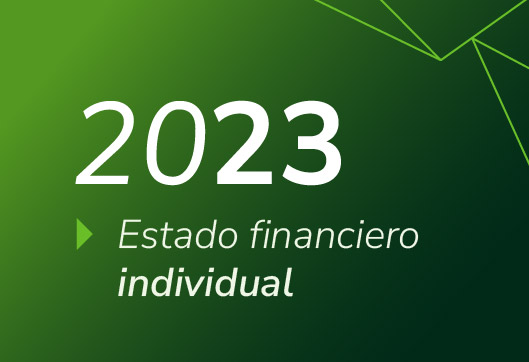 Estados Financieros Propuestas Invidividual 2023