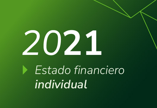 Estados Financieros Propuestas Invidividual 2021