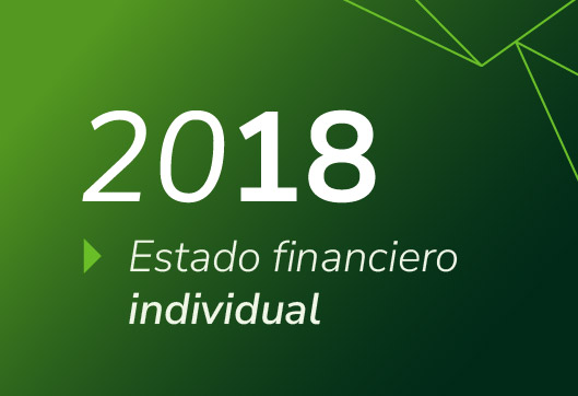 Estados Financieros Propuestas Invidividual 2018